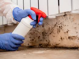 Best Industrial Mold Remediation  in San Marino, CA